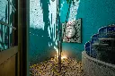 Sin título-1_0005_DSC04398.webp