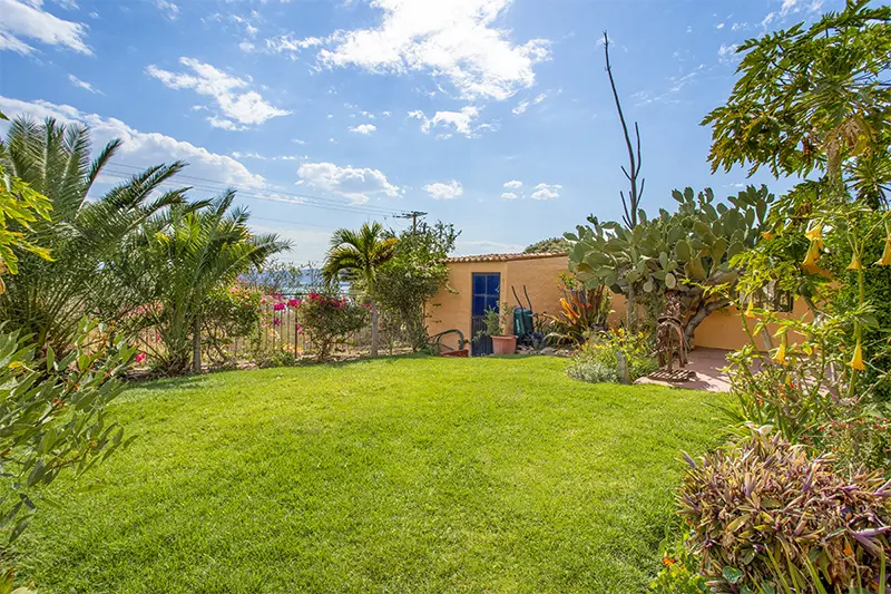 CKISKADEE GARDEN.webp