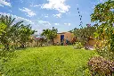 CKISKADEE GARDEN.webp