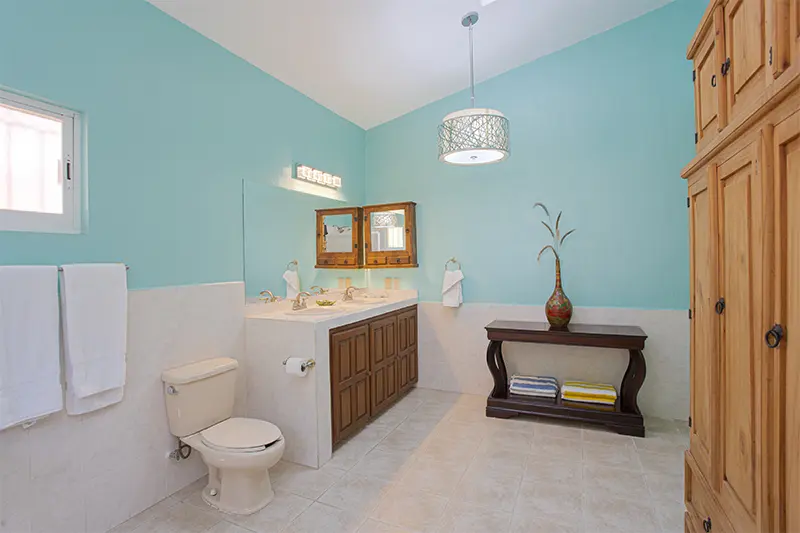 CKISKADEE BATHR 2.webp